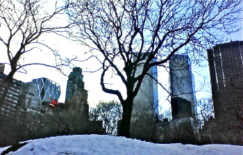 new york central park winter