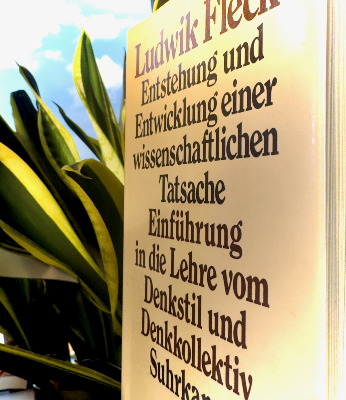 Ludwik Fleck: Einführung in die Lehre vom Denkstil und Denkkollektiv Cover